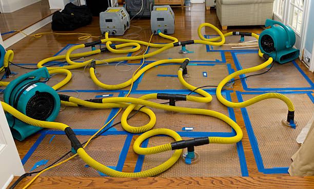 Professional Water Damage Restoration technician working in Mason, MI